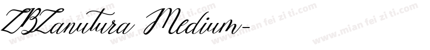 ZBZanutura Medium字体转换
